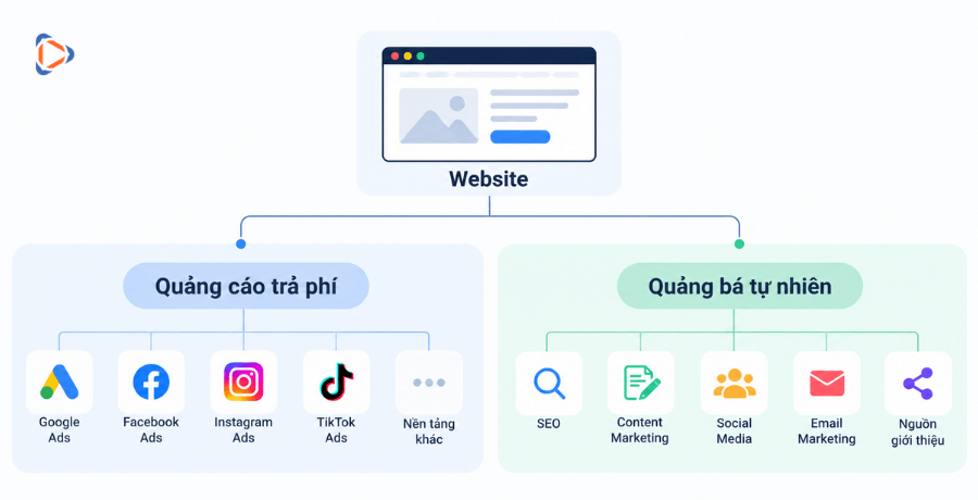 Sơ đồ hai hình thức quảng bá website gồm quảng cáo trả phí và quảng bá tự nhiên Organic